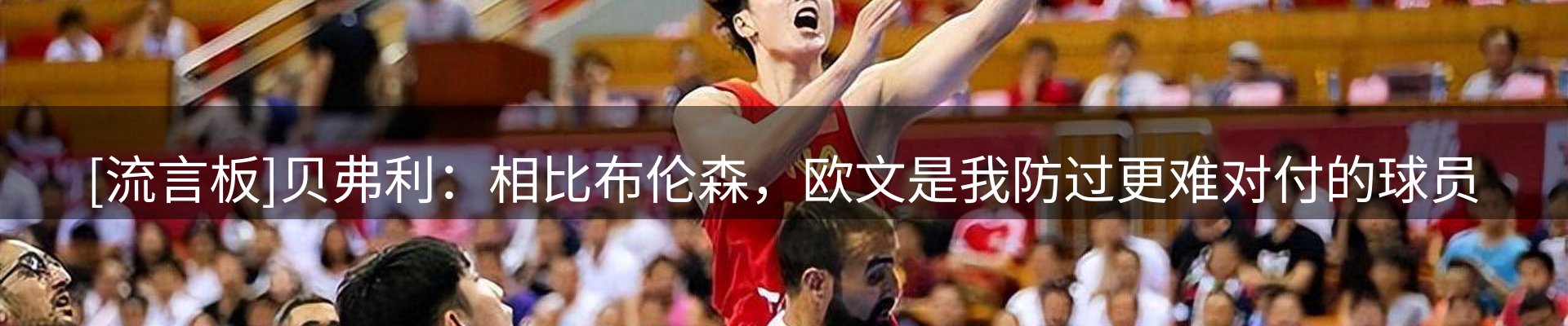公司焦点